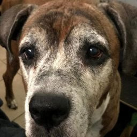 Meet your Posher, Andrew - Picture 1 of 1